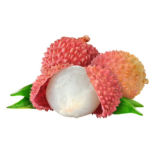 Lychee Plant – Perfectly Grown and Ready to Thrive in Your Backyard!
