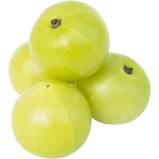Gooseberry (Indian Amla) - Super food Plant – Perfectly Grown and Ready to Thrive in Your Backyard!