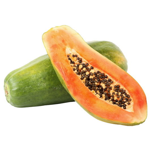 Papaya Plant – Perfectly Grown and Ready to Thrive in Your Backyard!